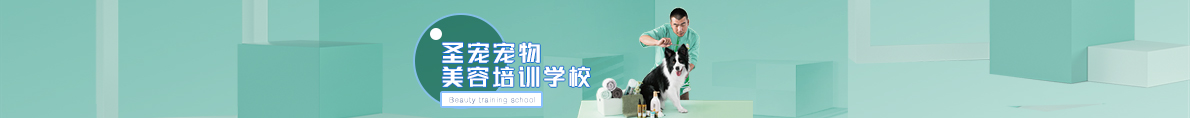 圣宠加盟年终大促，0元加盟