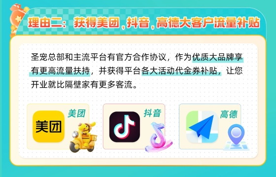 宠物店线上“开挂”什么体验？圣宠宠物代运营帮你赢在起点