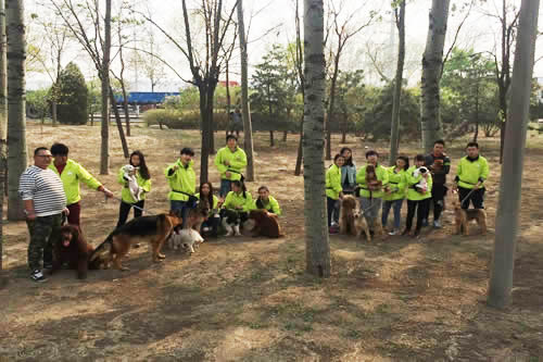 34期训犬班户外训练