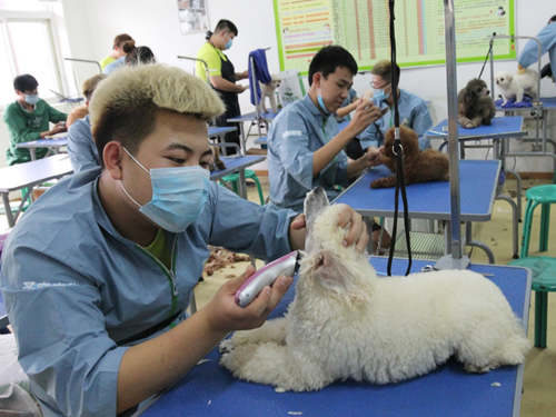 40期美容班综合美容实操课