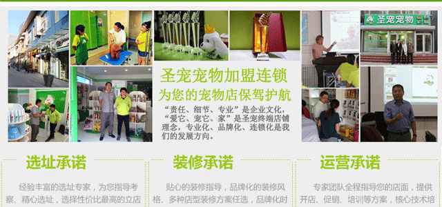 圣宠宠物加盟店选址服务，选定“最合适”的店址