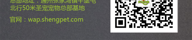 圣宠宠物加盟店选址服务，选定“最合适”的店址