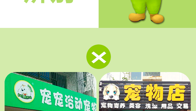 真假宠物店-教你如何辨别“真”圣宠店