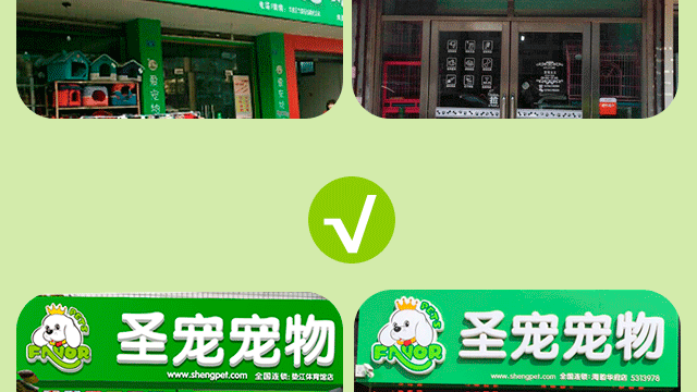 真假宠物店-教你如何辨别“真”圣宠店