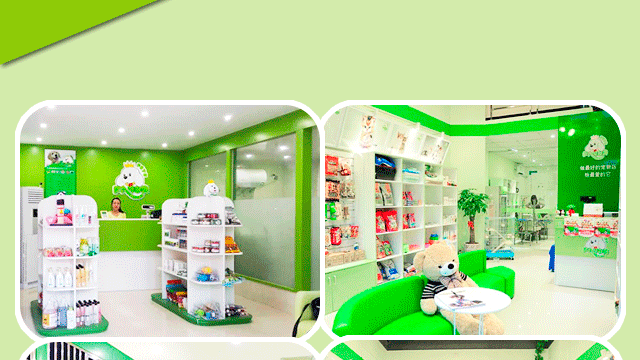 真假宠物店-教你如何辨别“真”圣宠店